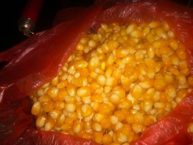 钓鱼窝料配方是什么，钓鱼的窝料配方（让出钓渔获更多更好）