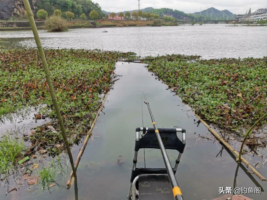 如何挑选最佳钓箱与钓椅？实用选购指南助你轻松垂钓
