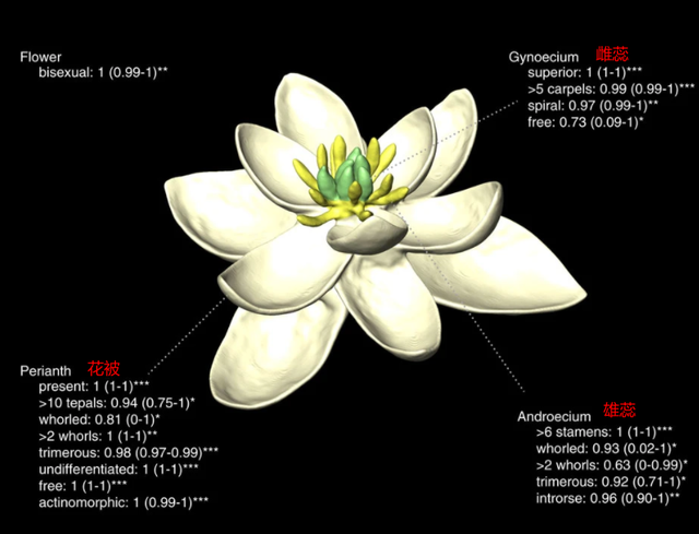 蝴蝶为什么采花粉，蝴蝶是不是采花粉的（蝴蝶为什么喜欢吸花蜜）