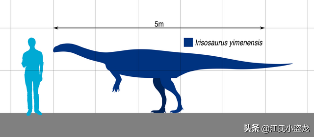 re网名的含义，Re微信昵称（2020古生物学家到底命名了多少种恐龙）