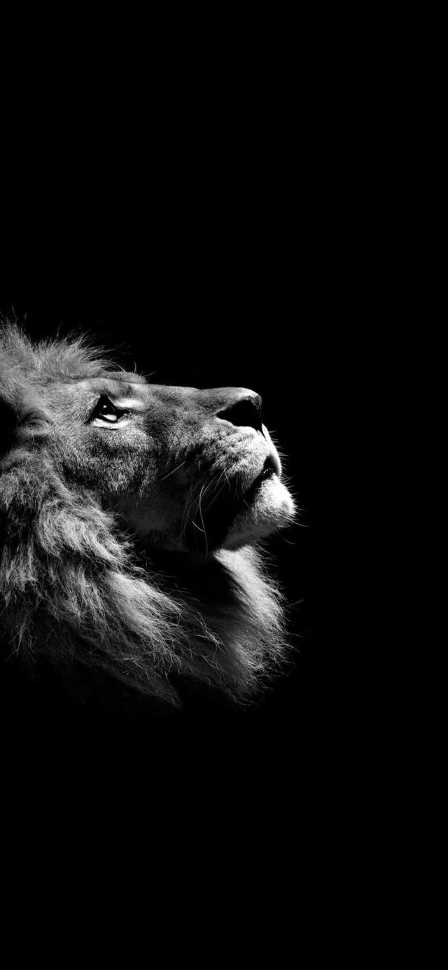 黑暗系列壁纸，黑暗系列壁纸抑郁（这个世界就不会黑暗图片）