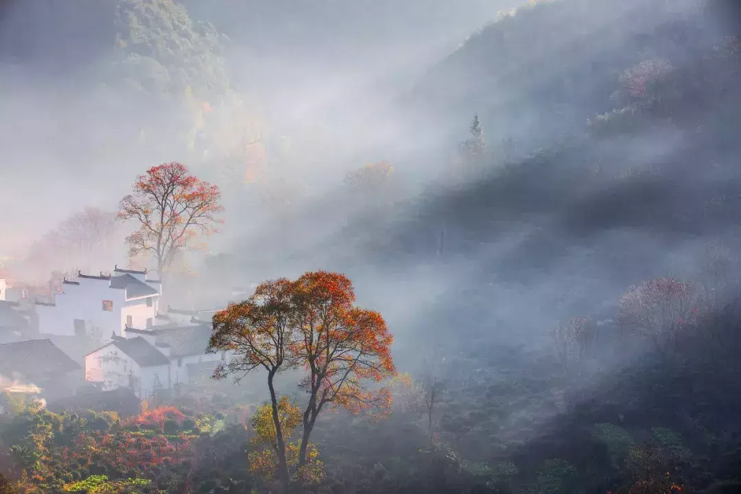 什么诺必寡什么填空，什么诺必寡（解开了很多人的心结）