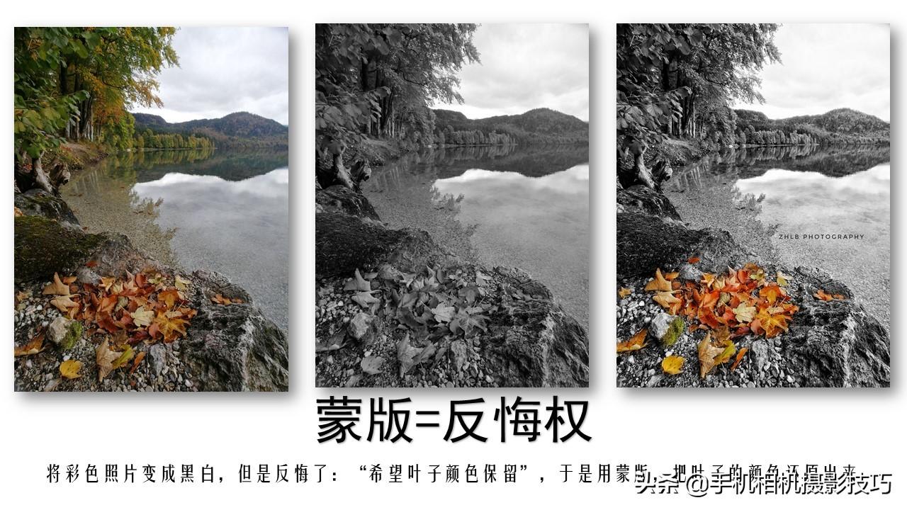 p图软件哪个好(照片文字修改软件)