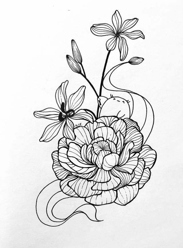 初学画画如何入门，画画入门初学技巧（好看的入门简笔画）