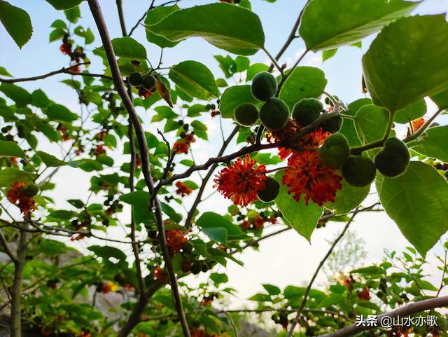 秦皇古道在哪呢，秦皇古道的简介（一座因唐僧晾经而得名的山岭）