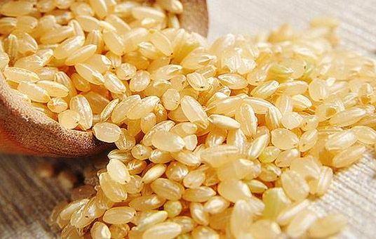 怎么查询鸽子的成绩，怎么查找鸽子的成绩（学习强豪养鸽秘诀）