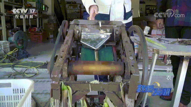 竹笋怎么剥皮，新鲜竹笋怎么剥皮详细图解（有了“王万能”发明的神器）