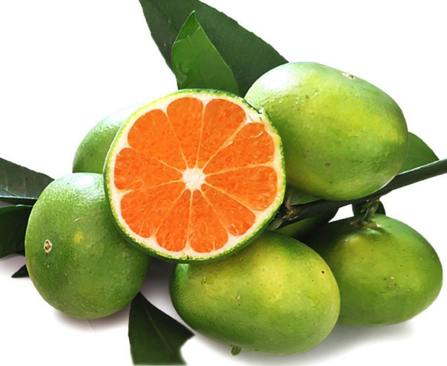 在线用名字作诗，用名字作诗在线生成器（5年前大学生看人杀猪）