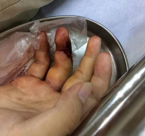 绿色的蛇叫什么蛇，全身绿色的蛇是什么蛇（广东一公交车站旁惊现毒蛇竹叶青）