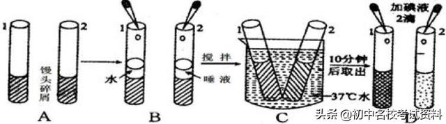 血型配对表图口诀，血型遗传规律表顺口溜（冲刺2020年中考-初中生物记忆口诀+知识点大全）