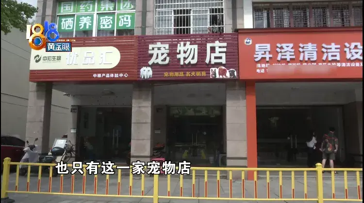 淘宝网电子狗(电子狗玩具价格及图片)