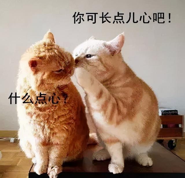 0反式脂肪酸是什么意思，反式脂肪酸0克什么意思（怎么识别零食中的反式脂肪酸）