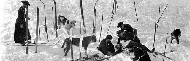 英国的国宝是什么动物，美国的国宝是什么动物英文（体重能达100千克）