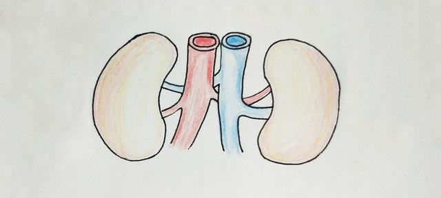 人每天的标准饮水量为多少，一个人每天的饮水量多少（#学习分享2#每天喝水量多少才科学健康）