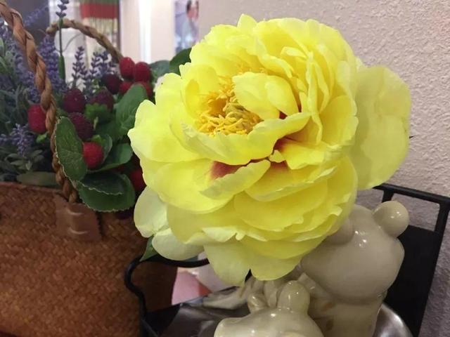 芍药不开花的解决办法，芍药一直不开花怎么办（开花个个比拳头大）