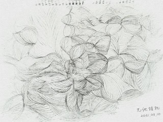 扫大街是什么意思，阿姨扫大街什么意思（你语言中的能量将改变你的命运）