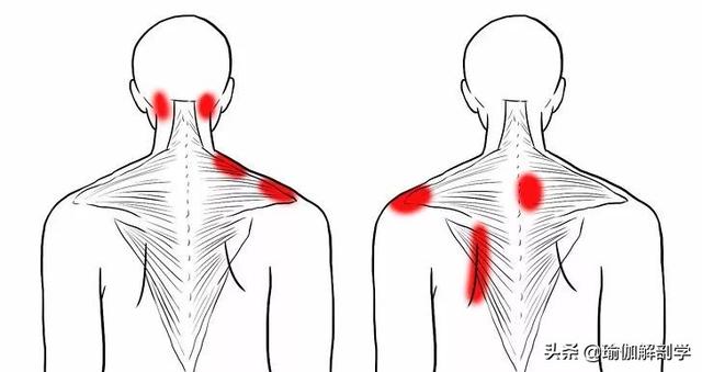 三角肌拉伸方法，三角肌的锻炼方法和拉伸方法（“肩颈疼痛”这样练就对了）
