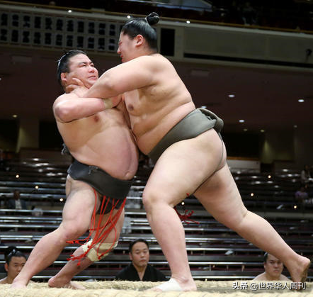 相扑运动员寿命，日本相扑冷知识（日本相扑选手因新冠去世）