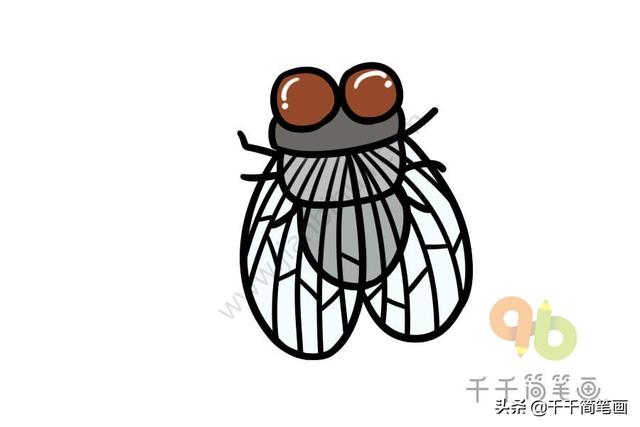 蚂蚁是不是昆虫，蚂蚁属于昆虫吗还是属于什么（儿童简笔画昆虫合集）