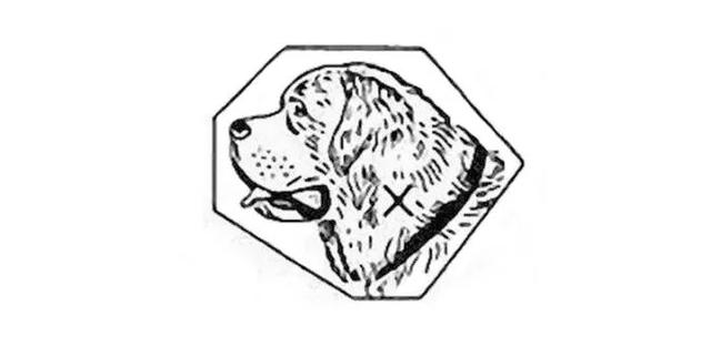 劳力士狗头标在哪里，劳力士狗头金标志（腕表的隐藏标志 你了解多少）