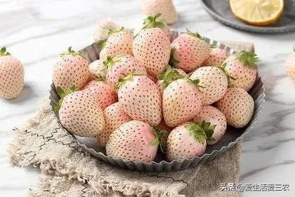 新致富项目种植(种植什么赚钱而简单)