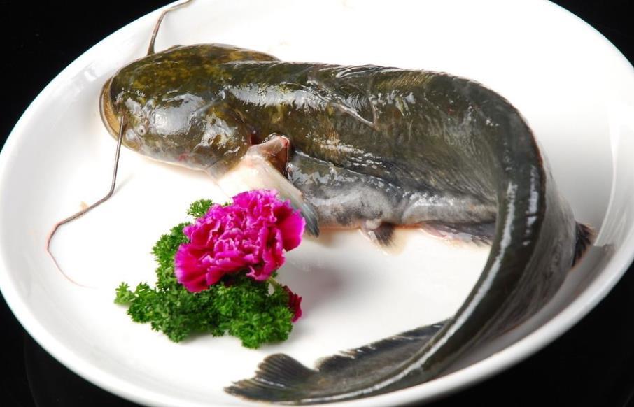 被误解的美味：家常鲶鱼炖茄子，鲜香软糯超下饭