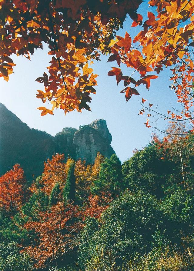 南黄古道攻略，浙江10条小众古道