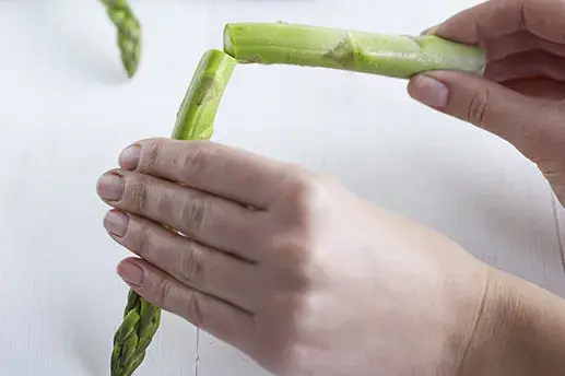 steam是什么软件，steam软件下载手机版（4月的芦笋“天生丽质”）