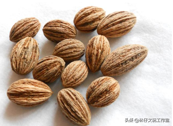 适合做手串的植物种子，适合做手串的植物种子是什么（这些路边捡的树籽儿串成手串）