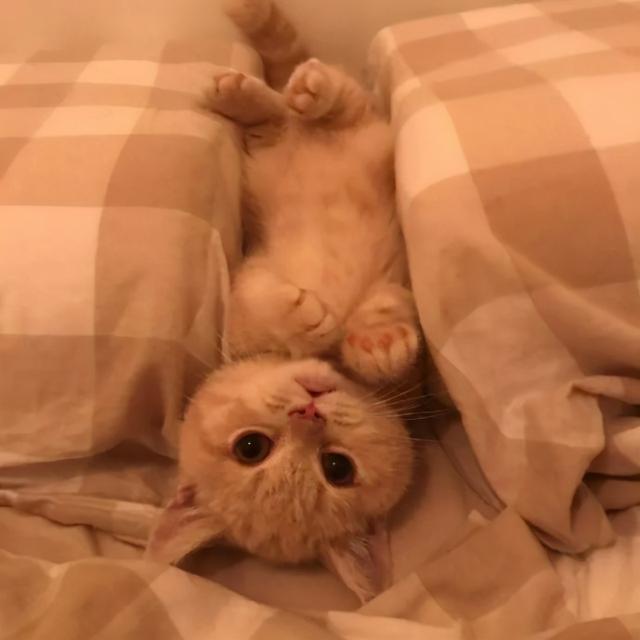 朋友圈封面图，朋友圈封面图片唯美（朋友圈背景图，微信封面）