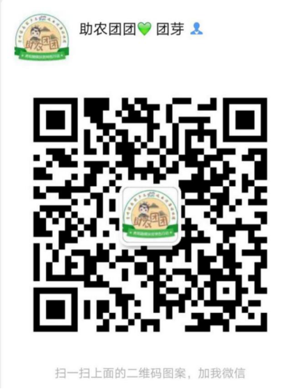 什么是水晶葡萄，什么是水晶葡萄酒（清镇水晶葡萄火热上市）