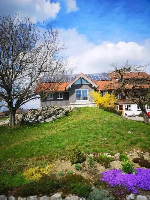 老虎菜为什么叫老虎菜，老虎菜是什么样的（王德明丨）