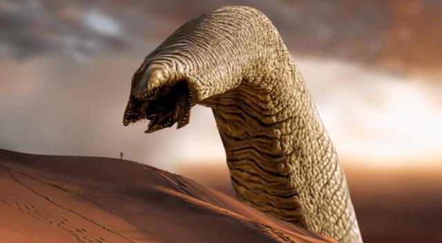 沙虫的特点,沙虫有什么区别(潜水员发现十几米长巨型怪虫)