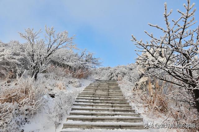 张家界好玩的地方不要门票，冬季的张家界好玩吗（不要门票山顶住宿仅需100元）