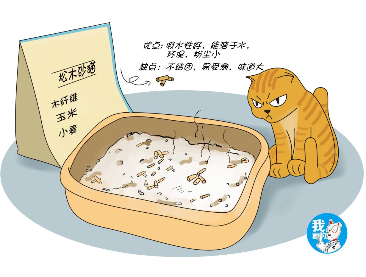 哪种猫砂最好用(国产十大最好猫砂)