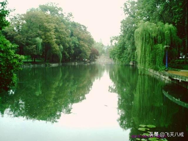 南京景点介绍，南京一日游必去景点推荐（南京九个不得不去的小众景点）