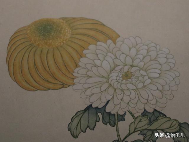 葩的读音（葩怎么读，葩是什么意思（金佛座、搓粉妆、绶带紫、鹤头丹）