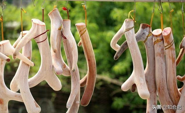 东北三宝人参鹿茸和啥，东北三宝是哪三宝（我国公认度最高的“东北三宝”）