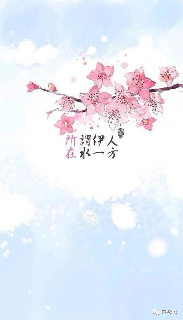 在水一方歌词，在水一方歌词表达的意思是什么（所谓伊人在水一方）