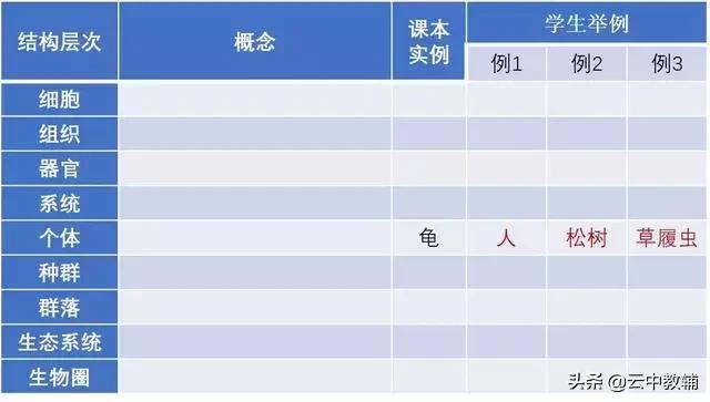 大肠杆菌菌落特征，大肠杆菌培养（一位高中生物老师分享对生物的理解）
