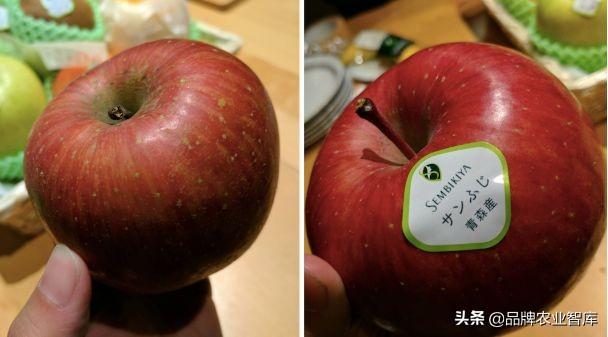 独果是什么，独果是真的吗（吃水果吃掉一套房、几辆车）