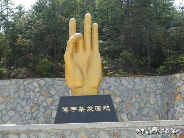 莲花峰茶不适宜哪些人喝,莲花峰茶有什么作用(了解福建全部茶叶看这一篇就够了) 莲花峰茶不适宜哪些人喝,莲花峰茶有什么作用(了解福建全部茶叶看这一篇就够了)