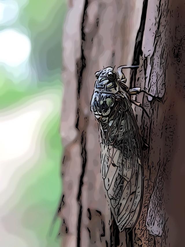 不及是什么意思，过往不及是什么意思（庄子-逍遥游<五>）