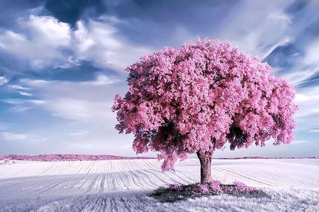 母亲节贺卡内容，生日贺卡制作简单漂亮（母亲节贺卡祝福语）