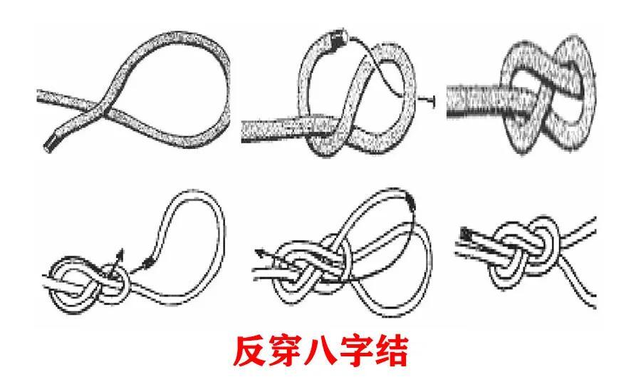 拖车绳子打结方法(五种常用绳结打法)插图(1)