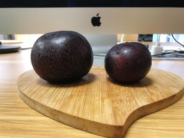 黑布林是李子吗，黑布林李子含糖量高吗（感谢种友送的李子 - 黑布林）