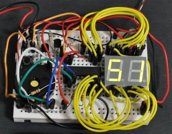 樱花和樱桃的关系，樱花树结的果子叫什么（樱花结的果和樱桃有关系吗）