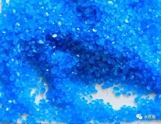 用什么农药药鱼，用什么农药药鱼最厉害（常用鱼药的优缺点与药用量及品种禁忌）