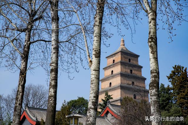 大雁塔的修建和哪位名人有关，大雁塔的修建和哪位名人有关蚂蚁答题（只为玄奘的坚毅和白居易的雁塔题名）
