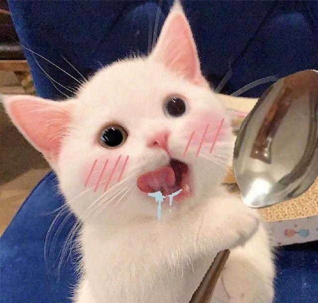 可可爱爱没有脑袋。，可可爱爱没头脑袋微信（可可爱爱没有脑袋的可爱头像）